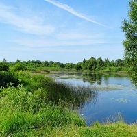 Наше лето. :: Милешкин Владимир Алексеевич 