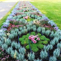 Прогулка в парке Кадриорг :: Veera V