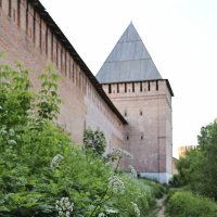восточная стена Смоленской крепости :: Тарас Золотько