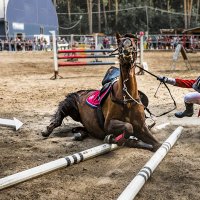 Конкур :: SanSan 