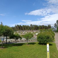 парк Малевича :: Галина R...