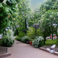 Мой город :: Роман Савоцкий