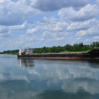 Дон в работе. :: Виктор 