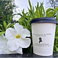 Лето в кафешке. :: Валерия Комова