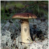 Царь :: Aleksandr Gal