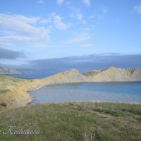 Природа Крыма :: Amazing Cosmea