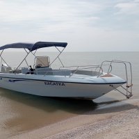 ***** :: Елена Семигина ***** :: Елена Семигина