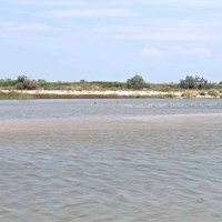 Азовское море :: Елена Семигина