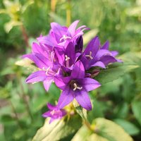 ,,, :: Сергей Тимоновский