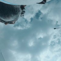 ЛЕ БО 2 (46) :: CLOSE WAYS ALL ЛЕ БО 2 (46) :: CLOSE WAYS ALL