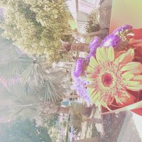 13  ОПЕН (162) :: OPEN WAYS ALL