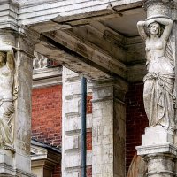 Белые красавицы Симона... :: Анатолий Колосов Белые красавицы Симона... :: Анатолий Колосов