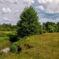 Родные берега 10 :: Андрей Дворников