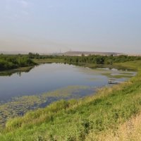 Старое русло реки :: Владимир Кириченко