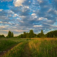 Вечерняя дорога в поле :: Александр Синдерёв