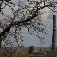 . :: Александр Хоменко