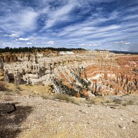 США. Брайс каньон. :: Алексей Пышненко