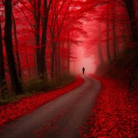 Как прекрасно, что ты ушла... :: Сергей Шаврин Как прекрасно, что ты ушла... :: Сергей Шаврин