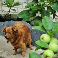 Внимание! :: Наталья Внимание! :: Наталья