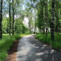 Летом в парке :: Мария Васильева Летом в парке :: Мария Васильева