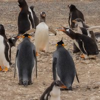 Дискуссия... :: Владимир Жданов