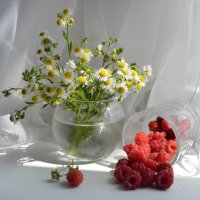 Солнечные зайчики... :: Надежда Куркина 