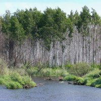 Река Аять :: Нэля Лысенко Река Аять :: Нэля Лысенко