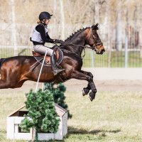 Кросс :: SanSan 