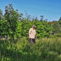 Утро на зеленой лужайке! :: Владимир Утро на зеленой лужайке! :: Владимир