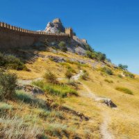 *** :: Сергей Лысенко