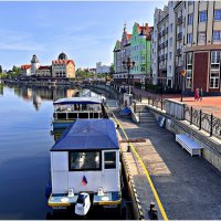 Лето. Утро на Преголе. :: Валерия Комова