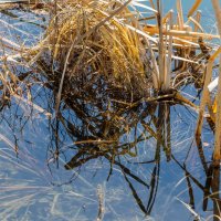 Свет, цвет и тень. :: Алексей Трухин Свет, цвет и тень. :: Алексей Трухин