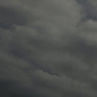 . :: Александр Хоменко