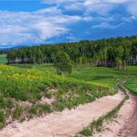 Дорогами лета :: Алексей Мезенцев Дорогами лета :: Алексей Мезенцев