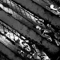 . :: Александр Хоменко