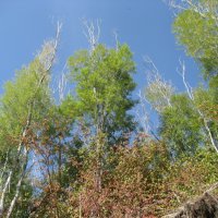 У протоки :: Anna Ivanova У протоки :: Anna Ivanova