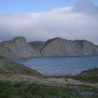 Природа Крыма :: Amazing Cosmea