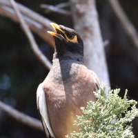Песнь любви :: Аркадий Басович Песнь любви :: Аркадий Басович