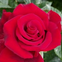 Talgar. :: Murat Bukaev 