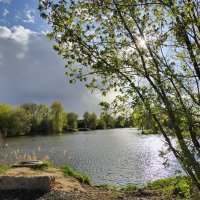 Старый пруд на закате :: Марина Кушнарева