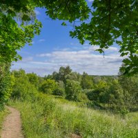 Палитра июня... :: Владимир Жданов