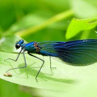 из снятого позавчера 4 :: Александр Прокудин