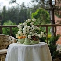 Дачные посиделки. :: Галина Левина