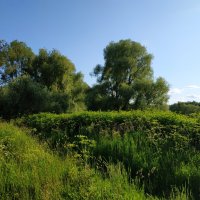 * * * :: Андрей Лукьянов