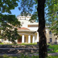 Шуваловский дворец. :: Ольга 