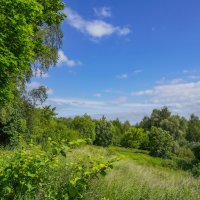 Под небом июня... :: Владимир Жданов