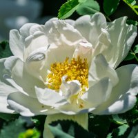 *** :: Виктор Иванович Чернюк