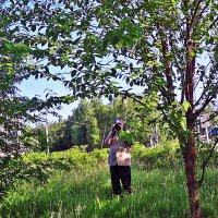 Июнь...Утро фотографа! :: Владимир 