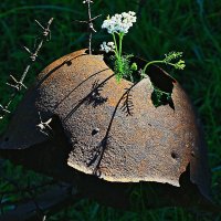 22 июня - День Памяти и Скорби. :: Николай Кондаков