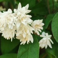 ,,, :: Сергей Тимоновский